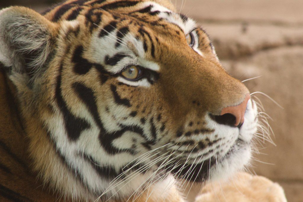 34769728444 6fe5f29f12 b