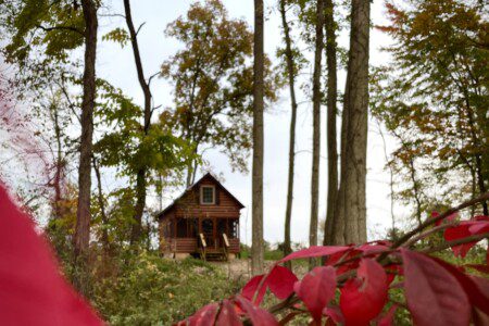 69ac3be4 2834 47f1 8ebc 65a06e267b41