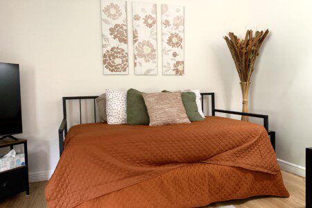 Living Room with 55" Roku Smart TV. Enjoy the comfortable, unique, and retro sofa options. Need extra sleeping space? Comfortable day bed with trundle!