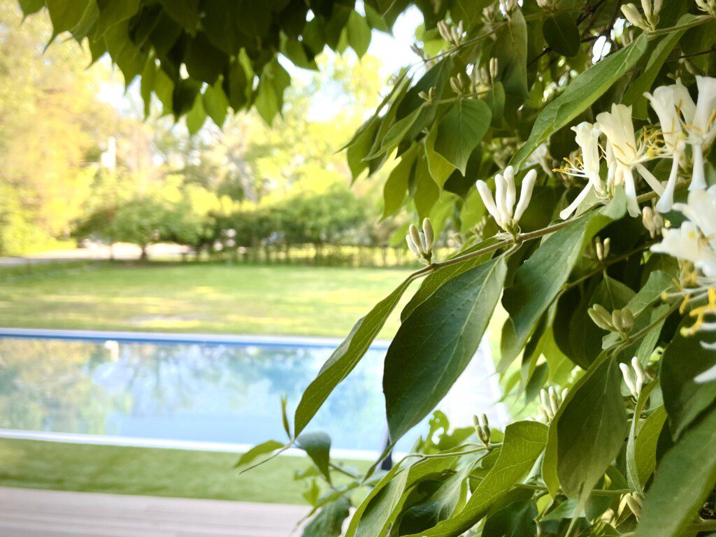 Family Fun at Riverside Pool Paradise! Splash in the pool, relax in the hot tub, or enjoy yard games. Spacious deck with seating! Toddler cabana, & custom art.