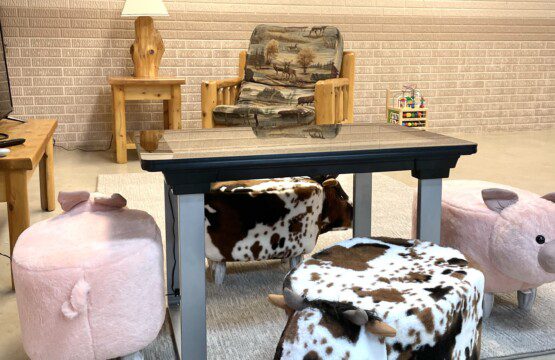 Trillium Lane Cabin - Infinity Game Table - Think...giant multiplayer iPad-like Board Game Table. Super fun for adults and kids!