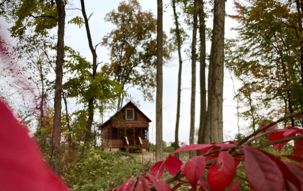 🏡 Nature surrounds you! Enjoy the serenity of your own pond, bridge, and willow tree—just steps from Valley Hills Cabin. Imagine quiet mornings and golden sunsets here. 🌅🍂