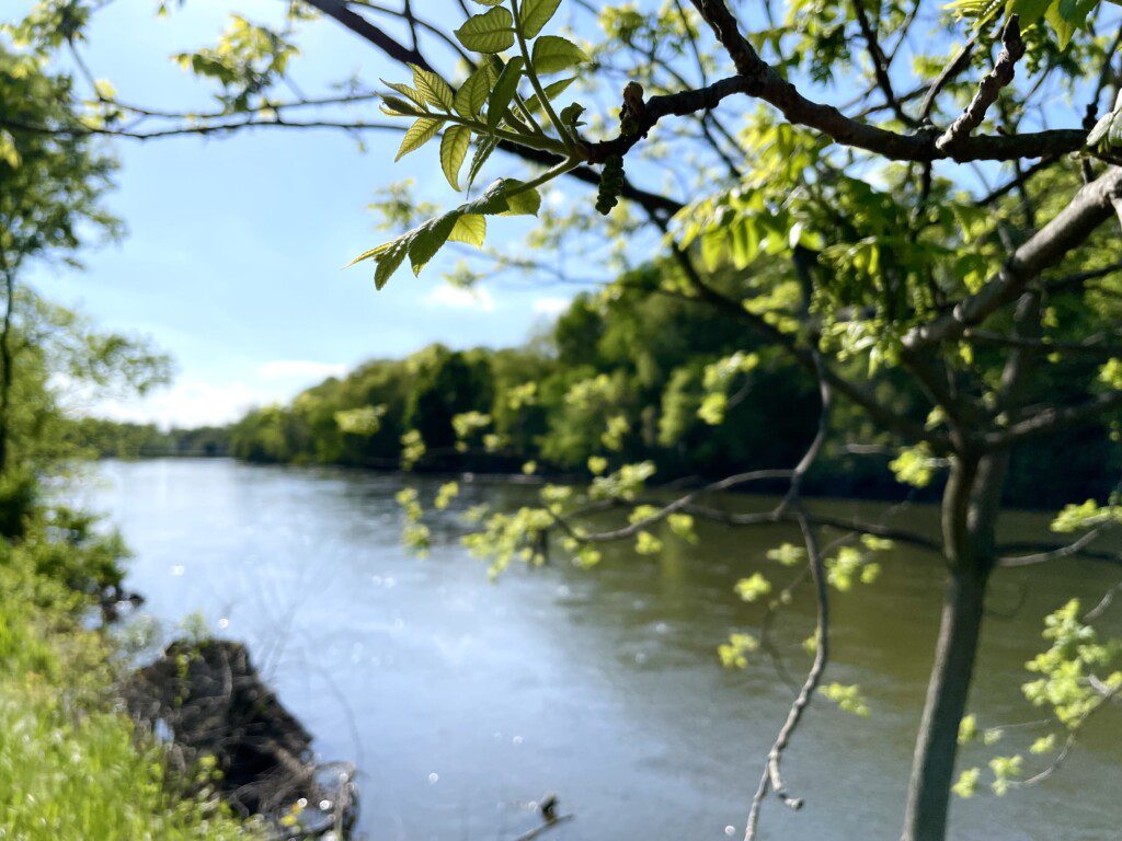 Stroll by the River & Kayak Your Cares Away! Riverside Paradise offers stunning riverside walks and on-site kayaks for exploring the water. We are a short 900 ft walk from a kayak boat launch!