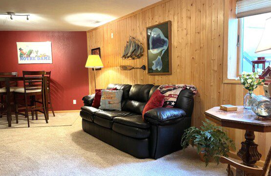 Basement Family Room: High table for games, leather sofa, and a 43” TV with Amazon FireStick and DVDs available for entertainment.