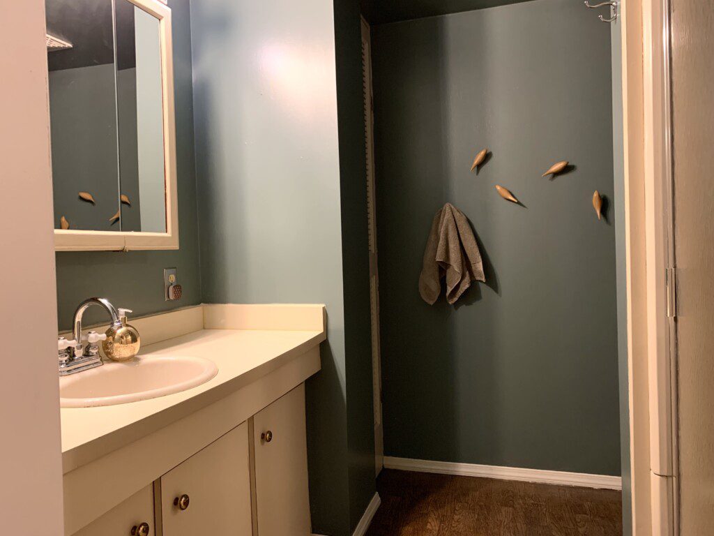 Basement Bathroom