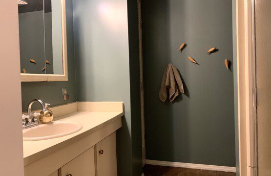 Basement Bathroom