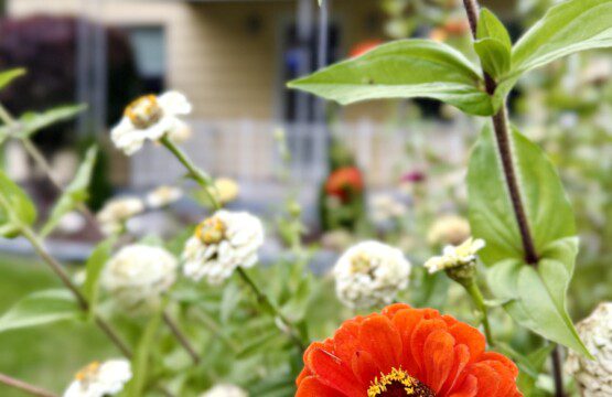 bcc63816 12e2 442e bd1b 485e9b3583d4