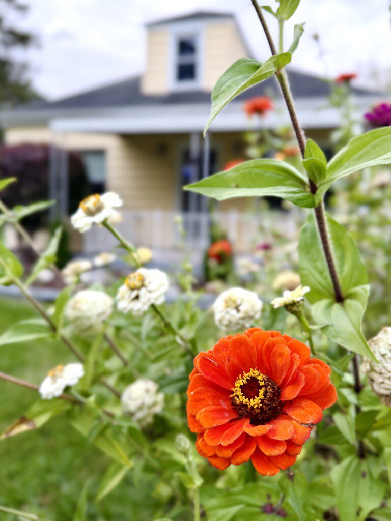 bcc63816 12e2 442e bd1b 485e9b3583d4