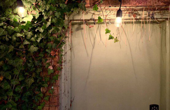 String lights to enjoy the backyard!!