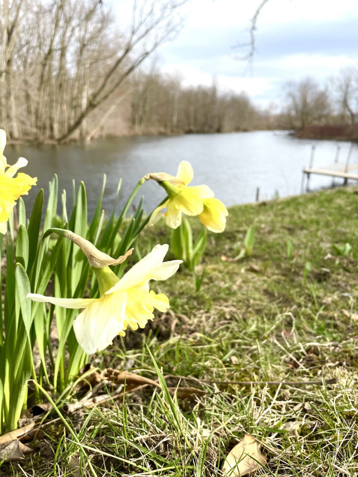 Enjoy the great outdoors