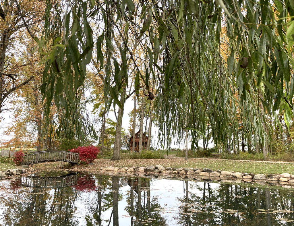 🏡 Nature surrounds you! Enjoy the serenity of your own pond, bridge, and willow tree—just steps from Valley Hills Cabin. Imagine quiet mornings and golden sunsets here. 🌅🍂