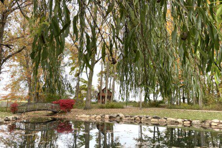 🏡 Nature surrounds you! Enjoy the serenity of your own pond, bridge, and willow tree—just steps from Valley Hills Cabin. Imagine quiet mornings and golden sunsets here. 🌅🍂