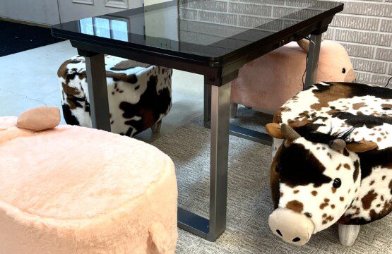 Trillium Lane Cabin - Infinity Game Table - Think...giant multiplayer iPad-like Board Game Table. Super fun for adults and kids!