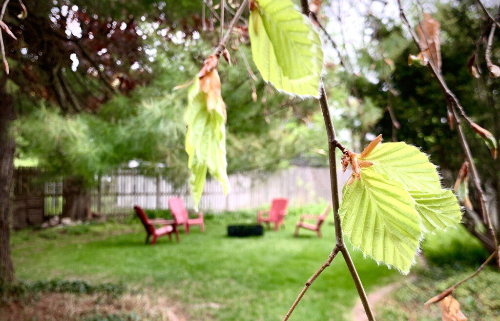 Decked Out Back Yard - enjoy a relaxing night around the campfire (firewood provided)