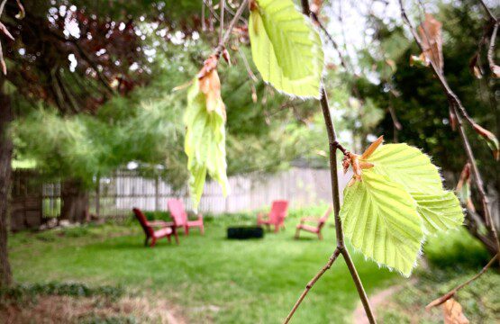 Decked Out Back Yard - enjoy a relaxing night around the campfire (firewood provided)
