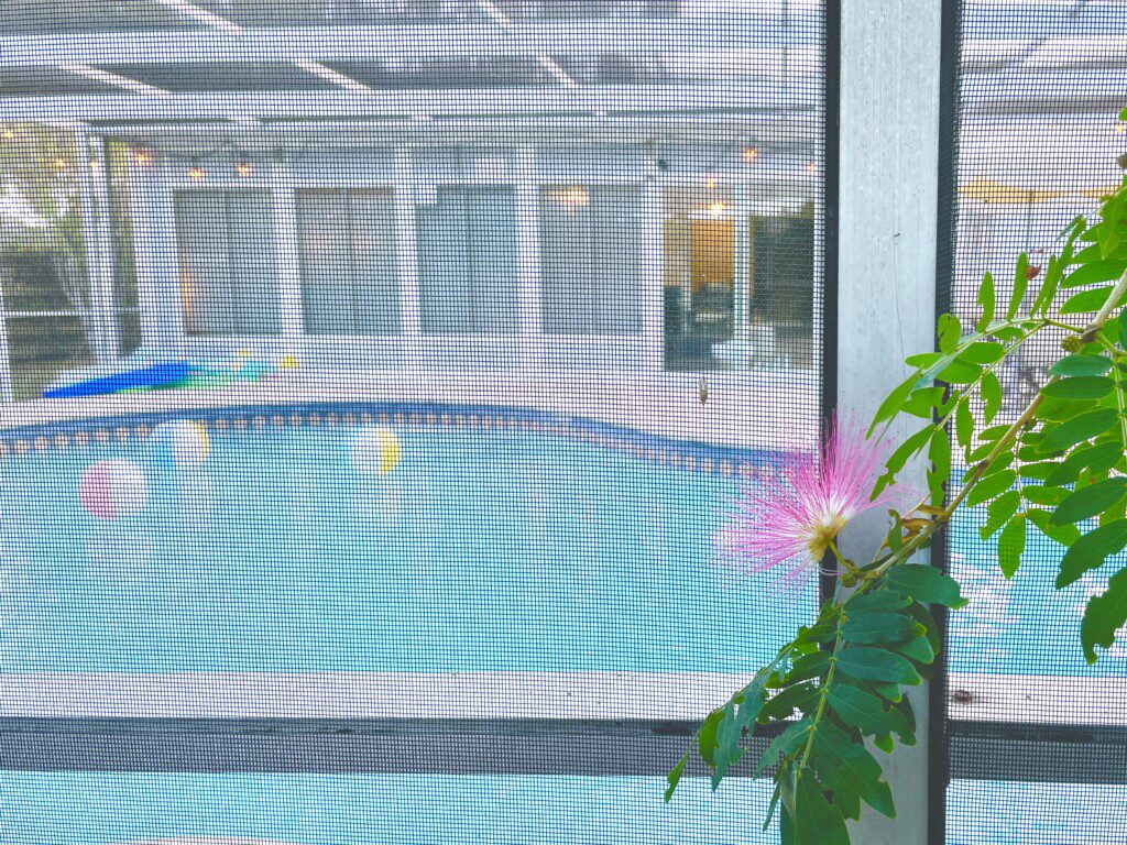 fc02fbce e128 4306 95ba 869ad053dbb6