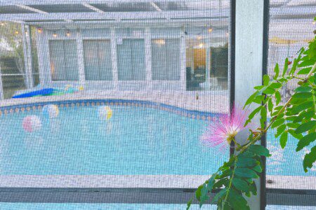 fc02fbce e128 4306 95ba 869ad053dbb6